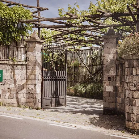 Gallone Сорренто